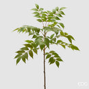 EDG Enzo De Gasperi Ramo Plinia H 90 cm