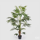 EDG Enzo De Gasperi | Palma Areca Chic