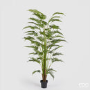 EDG Enzo De Gasperi | Palma Areca artificiale Con Vaso