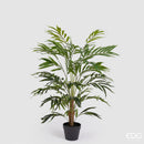EDG Enzo De Gasperi | Palma Areca Chic