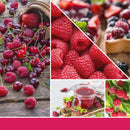 Yankee Candle | Candela Profumata Red Raspberry