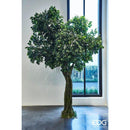 EDG Enzo De Gasperi | Pianta artificiale Ficus Beniamino con Zolla