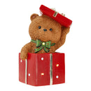 Timstor | Orso in Scatola Regalo con Luci Led