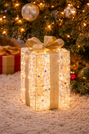 L'Oca Nera | Scintille Magiche Pacco Regalo con Led