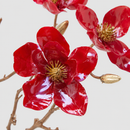 EDG Enzo De Gasperi | Magnolia Glossy Ramo