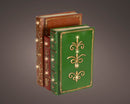 Kaemingk | Decorazione Libro con Luci Led