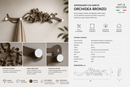Arti & Mestieri Appendiabiti da Parete Orchidea Bronzo