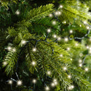 Kaemingk | Festone di Luci Twinkle 2000 Led - Luce Calda Bianca per esterni
