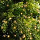 Kaemingk | Festone di Luci Twinkle 2000 Led - Luce Calda Classica per esterni