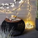 Kaemingk | Festone di Luci Twinkle Cherry 500 LED - Luce Calda Bianca per esterni