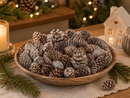 EDG Enzo De Gasperi | Pigne Decorative Picea Naturali Fumigate
