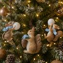 EDG Enzo De Gasperi | Addobbo Animali Xmas