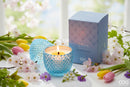 EDG Enzo De Gasperi | Candela Uovo Con Profumo