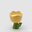 EGD Enzo De Gasperi | Candela Tulipano Con Profumo