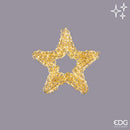 EDG Enzo De Gasperi | Decoro Curly Stella con Led