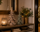 EDG Enzo De Gasperi |  Decoro Natalizio Pino Sugar