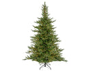 Kaemingk | Albero di Natale Grandis Fir con 4200 LED - H. 210 cm Luce Bianca Calda