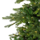 Kaemingk | Albero di Natale Grandis Fir Twinkle con 5200 LED - H. 240 cm Luce Bianca Calda