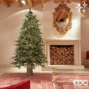 EDG Enzo De Gasperi | Albero di Natale Pino Spark - 6670 Led H 210 cm