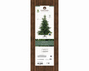 Kaemingk | Albero di Natale Grandis Fir - H. 210 cm