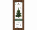 Kaemingk | Albero di Natale Grandis Fir - H. 300 cm