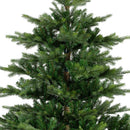 Kaemingk | Albero di Natale Grandis Fir - H. 300 cm
