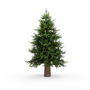 Kit Completo Natale | Pino Luxury EDG H 210 cm con Base Tronco, 1000 LED e Borsone