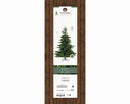 Kaemingk | Albero di Natale Grandis Fir - H. 270 cm