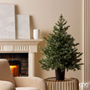 EDG Enzo De Gasperi | Albero di Natale Pino argentato con vaso