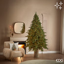 EDG Enzo De Gasperi | Albero di Natale Pino New Imperial con 4000 LED Multieffetto Dimmerabile H 210 cm Ø 140 cm