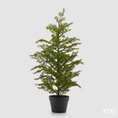 EDG Enzo De Gasperi | Albero di Natale con vaso PinoThuja