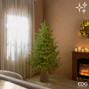 EDG Enzo De Gasperi | Albero di Natale Pino Lucciole con 2300 LED H 180 cm