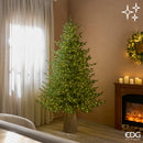 EDG Enzo De Gasperi | Albero di Natale Pino Lucciole con 4200 LED H 240 cm