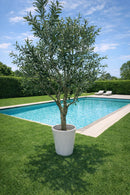 EDG Enzo de Gasperi | Pianta artificiale Olivo Vogue H 250 cm.