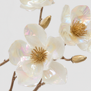 EDG Enzo De Gasperi | Magnolia Glossy Ramo