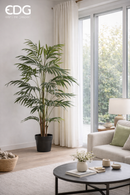 EDG Enzo De Gasperi | Palma Areca artificiale Con Vaso