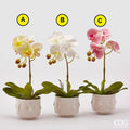 Pianta Artificiale Orchidea EDG Enzo De Gasperi