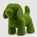 EDG Enzo De Gasperi | Decoro Cane Erba per Esterno