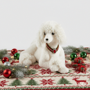 EDG Enzo De Gasperi | Barboncino decorativo Natale