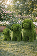 EDG Enzo De Gasperi | Decoro Cane Erba per Esterno