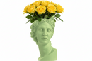 Sophia Enjoy Thinking | Scultura Apollo Head Vaso Acid