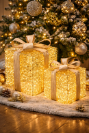 L’Oca Nera | Regali Preziosi – Pacco Decorativo con Luce LED