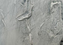 Quadro Dipinto a Mano The Line  90x120 cm. Agave