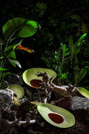 Bordallo - Pinheiro | Avocado Insalatiera  in ceramica