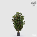 EDG Enzo De Gasperi | Agrifoglio Bacche con Vaso Anti-UV - H. 129 cm