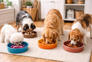 WD Lifestyle | Ciotola per animali domestici con decoro interno a rilievo