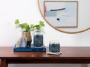 Candela Profumata Bayside Cedar Yankee Candle