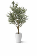EDG Enzo de Gasperi | Pianta artificiale Olivo Vogue H 250 cm.