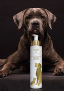FOTO ESPOSITIVA SHAMPOO PELO SCURO