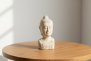 Scultura Testa di Donna Dialma Brown